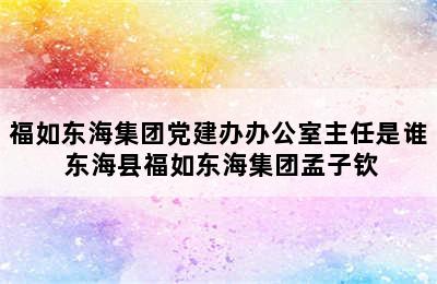 福如东海集团党建办办公室主任是谁 东海县福如东海集团孟子钦